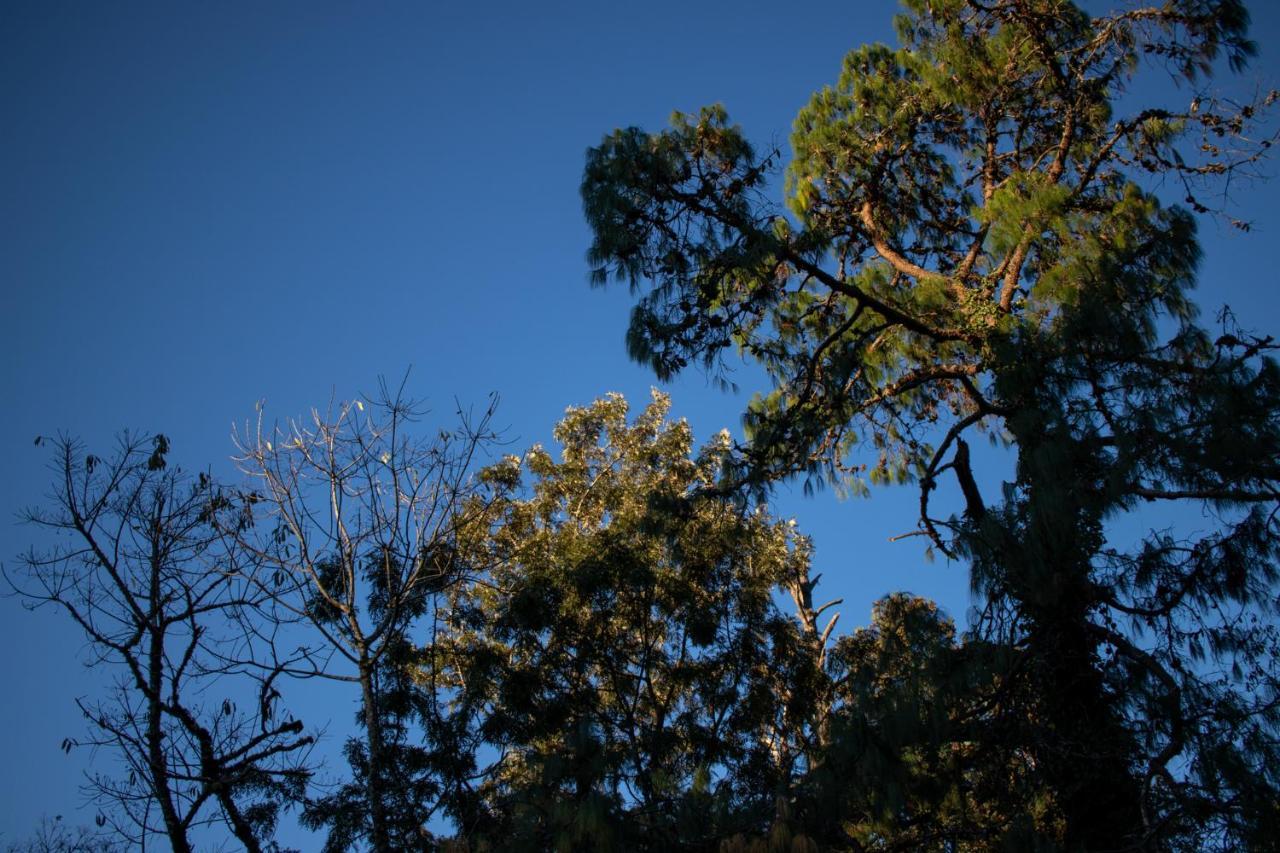 Pousada Nosso Lar Gramado Exterior foto